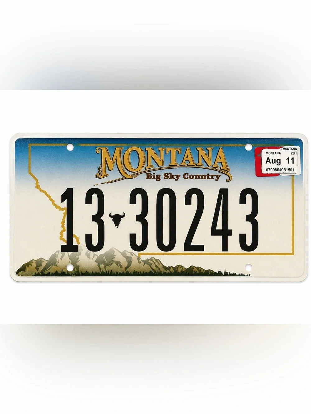 Montana Big Sky Country License Plate